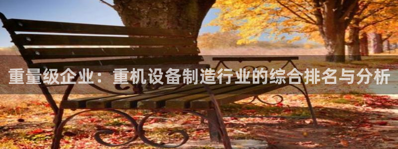 辉达娱乐登录：重量级企业：重机设备制造行业的综合排名与分析
