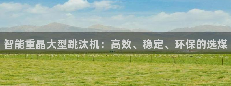龙腾辉达电子娱乐：智能重晶大型跳汰机：高效、稳定、环保的选煤