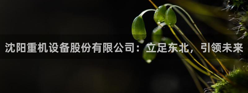 辉达娱乐重庆时时彩注册：沈阳重机设备股份有限公司：立足东北，