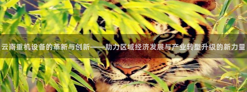 正规辉达娱乐平台：云南重机设备的革新与创新——助力区域经济发