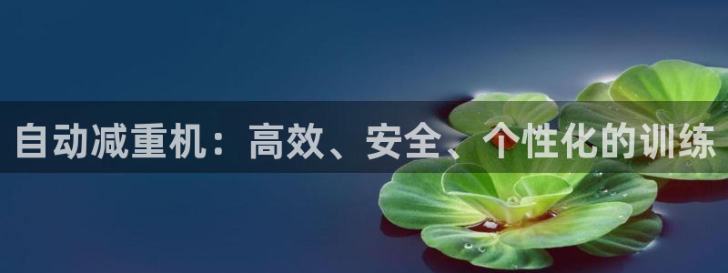 正规辉达娱乐:自动减重机:高效、安全、个性化的训练