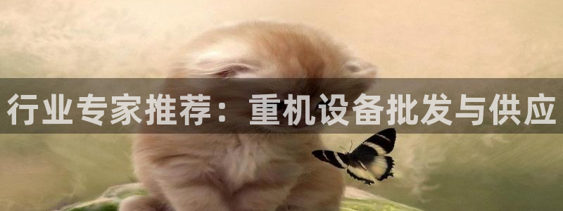 正规辉达娱乐平台