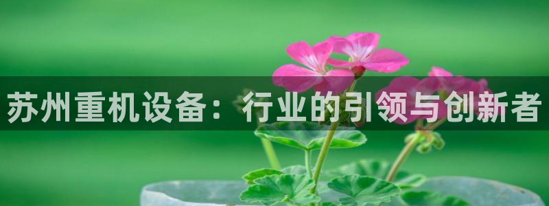 辉达娱乐