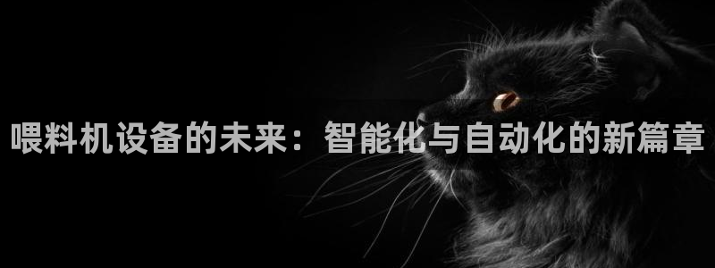 辉达娱乐丶75505：喂料机设备的未来：智能化与自动化的新篇