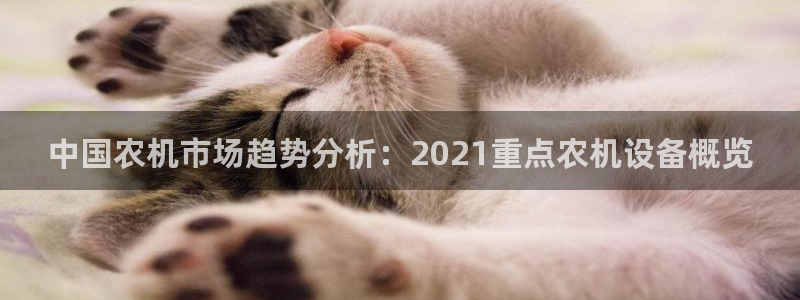 辉达娱乐加q75775稳定:中国农机市场趋势分析:2021重