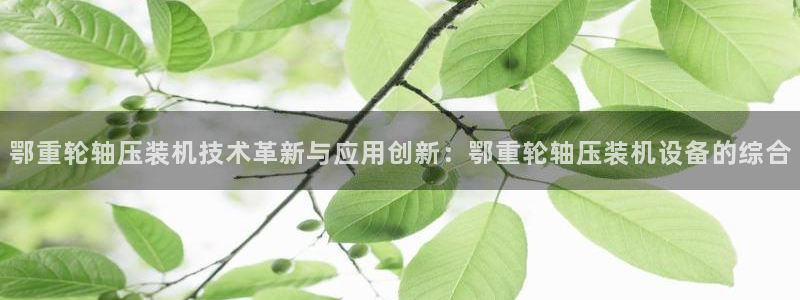 辉达平台注册资金多少：鄂重轮轴压装机技术革新与应用创新：鄂重