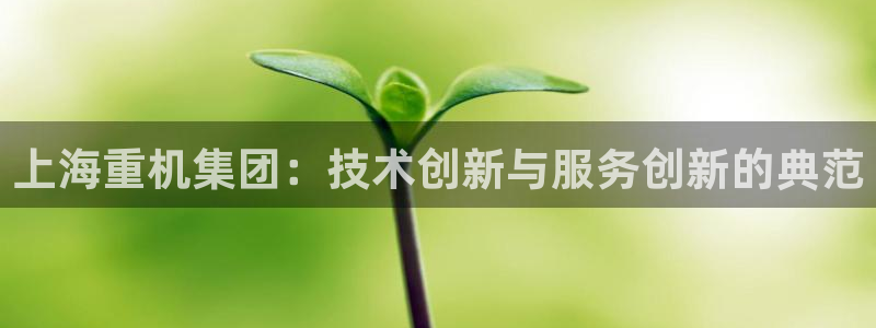 达利娱乐王辉：上海重机集团：技术创新与服务创新的典范