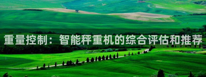 辉达怎么样：重量控制：智能秤重机的综合评估和推荐