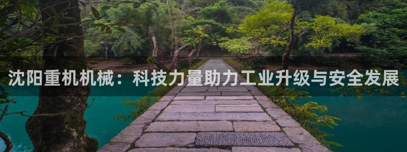 辉达娱乐游戏.直开.中国：沈阳重机机械：科技力量助力工业升级