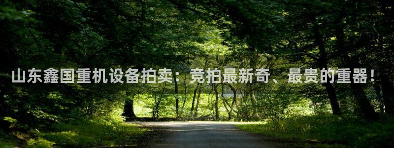 龙腾辉达电子娱乐：山东鑫国重机设备拍卖：竞拍最新奇、最贵的重