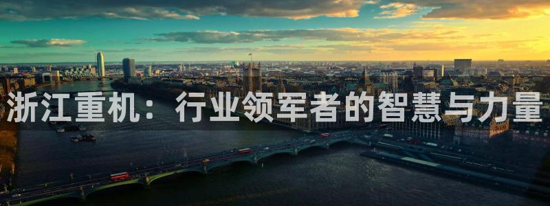 信誉辉达娱乐开户注册：浙江重机：行业领军者的智慧与力量
