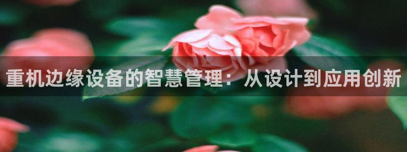 专业辉达娱乐官方网址：重机边缘设备的智慧管理：从设计到应用创