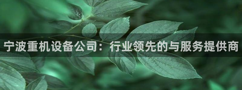 辉达平台注册入口：宁波重机设备公司：行业领先的与服务提供商