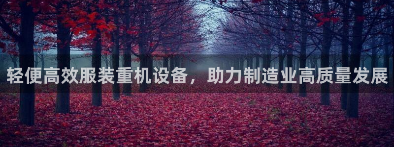 辉达娱乐丿75505：轻便高效服装重机设备，助力制造业高质量