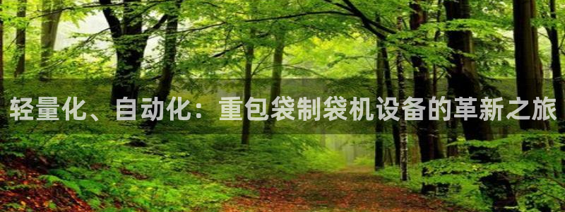 辉达娱乐最新现状：轻量化、自动化：重包袋制袋机设备的革新之旅