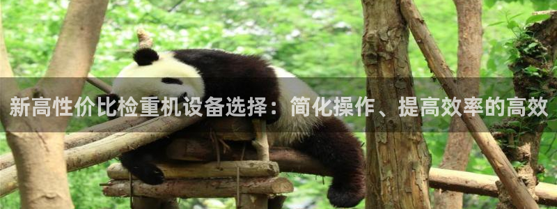 辉达娱乐衤39444：新高性价比检重机设备选择：简化操作、提