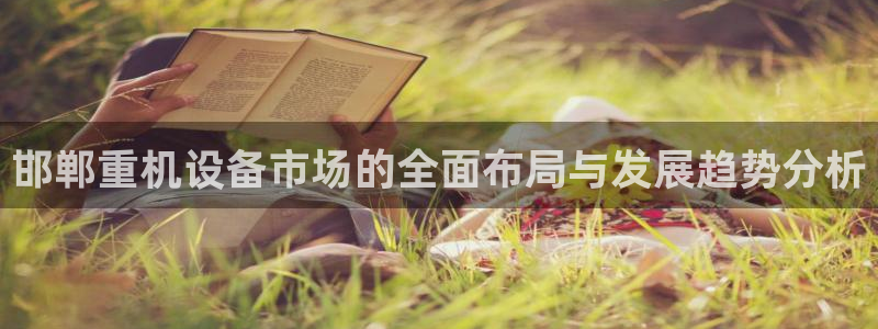 辉达娱乐：邯郸重机设备市场的全面布局与发展趋势分析