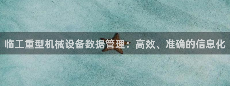 辉达娱乐排列三：临工重型机械设备数据管理：高效、准确的信息化