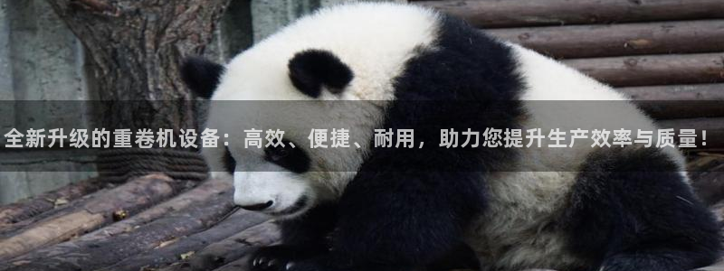 辉达娱乐123123：全新升级的重卷机设备：高效、便捷、耐用