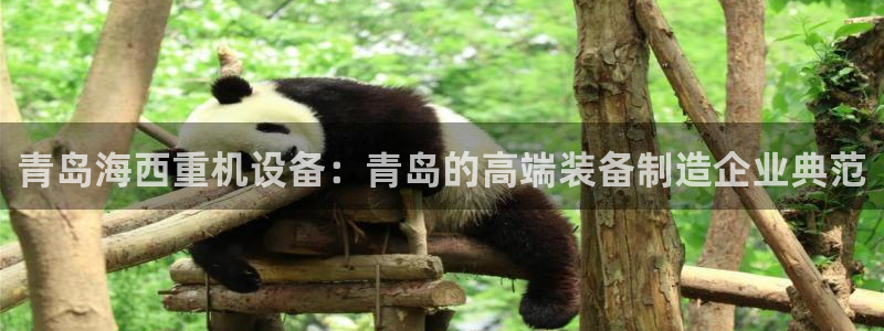 辉达娱乐广东11选5：青岛海西重机设备：青岛的高端装备制造企