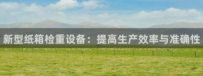 达娱乐辉70667：新型纸箱检重设备：提高生产效率与准确性