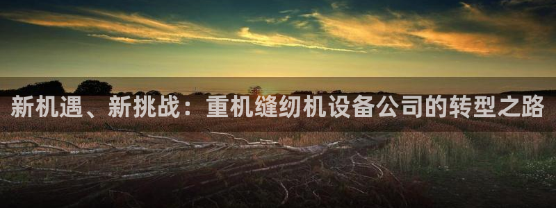 辉达娱乐时时彩：新机遇、新挑战：重机缝纫机设备公司的转型之路