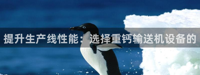 专业辉达娱乐官方网址：提升生产线性能：选择重钙输送机设备的