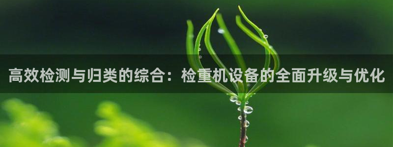 辉达娱乐加q75775：高效检测与归类的综合：检重机设备的全