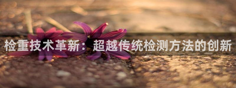 辉达娱乐开户注册：检重技术革新：超越传统检测方法的创新