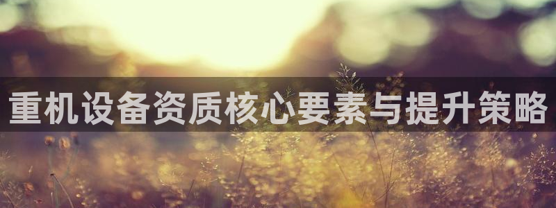 辉达平台官网网站：重机设备资质核心要素与提升策略