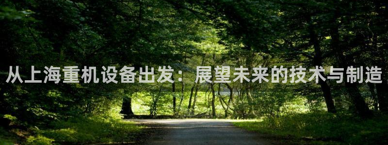 辉达平台娱乐怎么样：从上海重机设备出发：展望未来的技术与制造