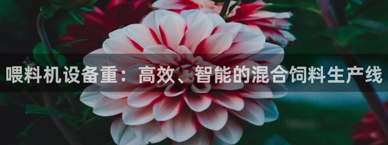 辉达娱乐注册：喂料机设备重：高效、智能的混合饲料生产线