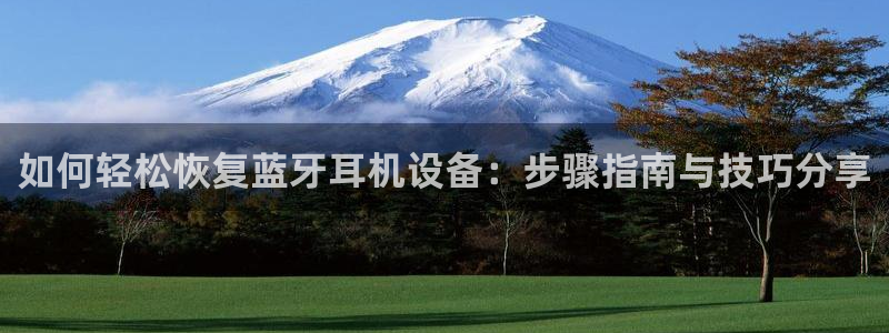 辉达娱乐网址：如何轻松恢复蓝牙耳机设备：步骤指南与技巧分享