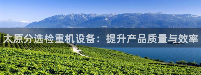 辉达娱乐丨39444：太原分选检重机设备：提升产品质量与效率