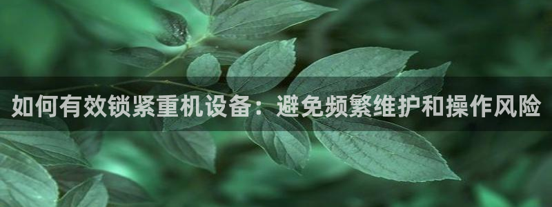 专业辉达娱乐在线游戏：如何有效锁紧重机设备：避免频繁维护和操