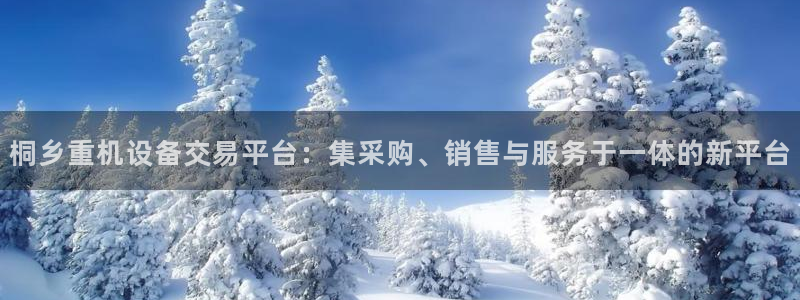 代理辉达娱乐官方网址：桐乡重机设备交易平台：集采购、销售与服