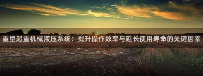 辉达娱乐：重型起重机械液压系统：提升操作效率与延长使用寿命的