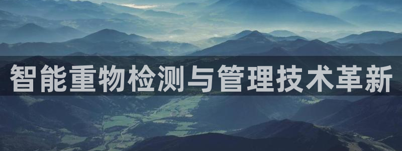 辉达娱乐丨39444：智能重物检测与管理技术革新