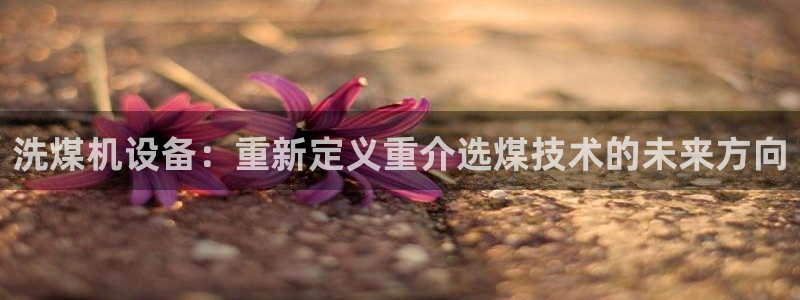 辉达娱乐最新现状：洗煤机设备：重新定义重介选煤技术的未来方向