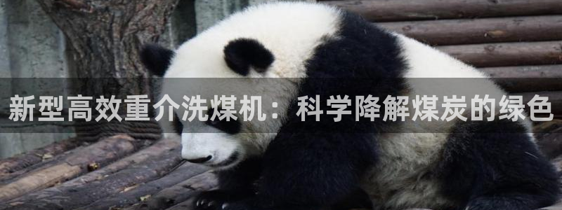 辉达娱乐时时彩：新型高效重介洗煤机：科学降解煤炭的绿色