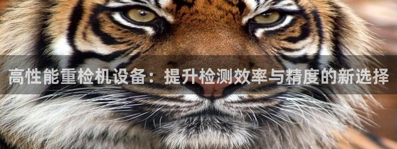 辉达娱乐加扣75775