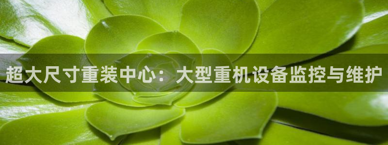 辉达娱乐官方网址