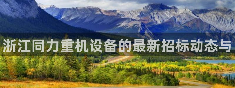 辉达平台官网网站