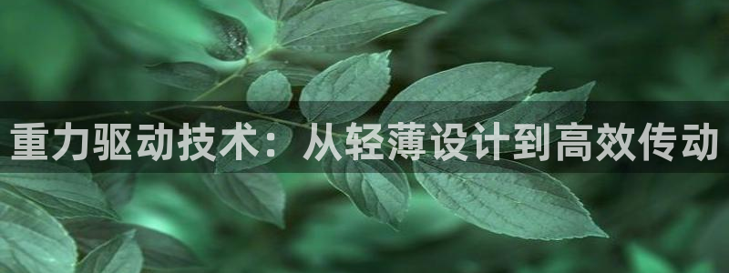 辉达娱乐待遇