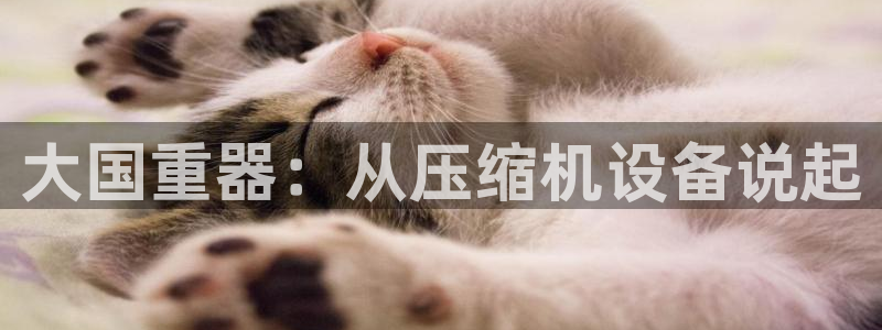 辉达娱乐福彩：大国重器：从压缩机设备说起