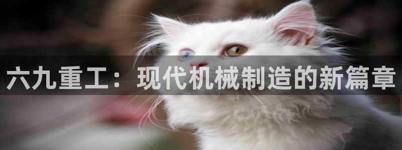 正规辉达娱乐开户注册