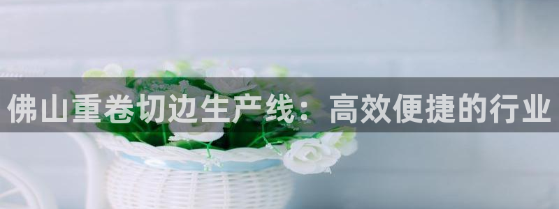 辉达娱乐丶39444：佛山重卷切边生产线：高效便捷的行业