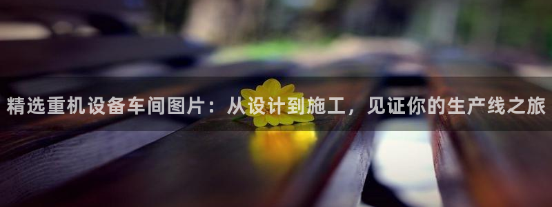 辉达娱乐电子