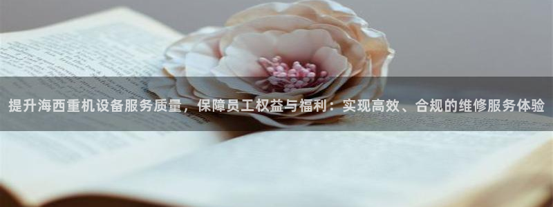 辉达娱乐五75505：提升海西重机设备服务质量，保障员工权益