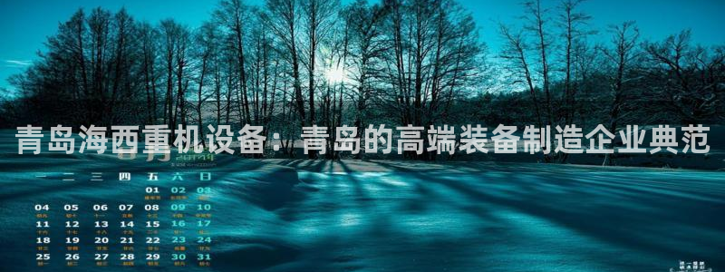辉达娱乐公司